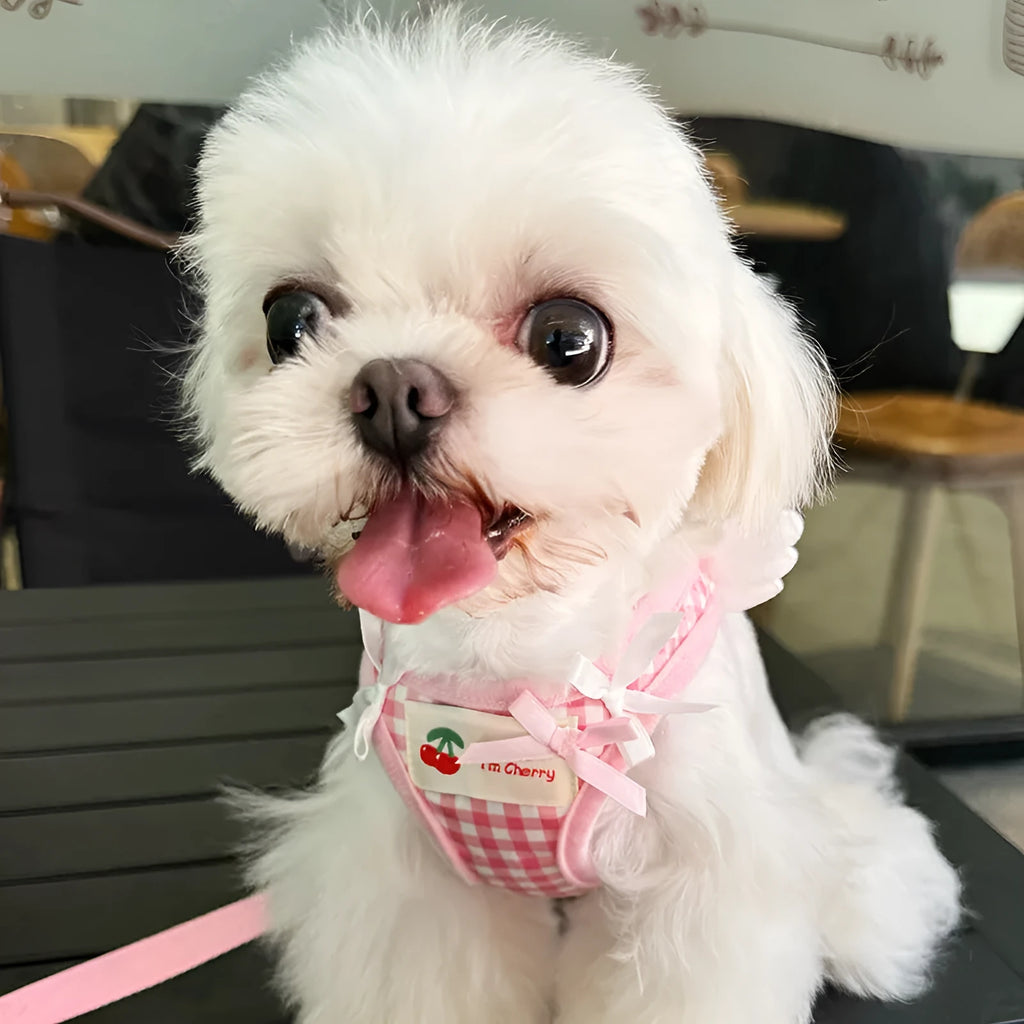Pink cotton chest and back dog harness with lead for a small dog, size label shown.