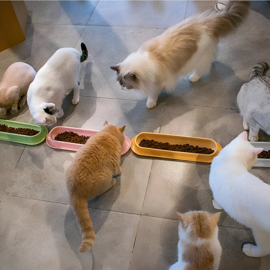 Leakproof pet bowl feeder for cats and dogs in green, pink or yellow colours