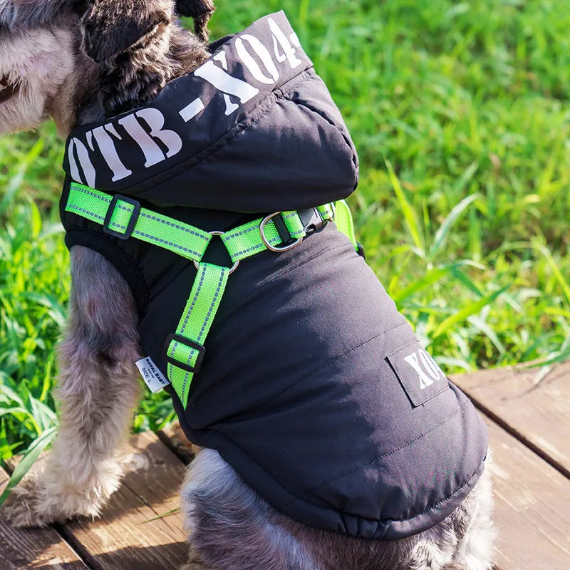 Red winter dog jacket with hood and fleece lining shown on small dog