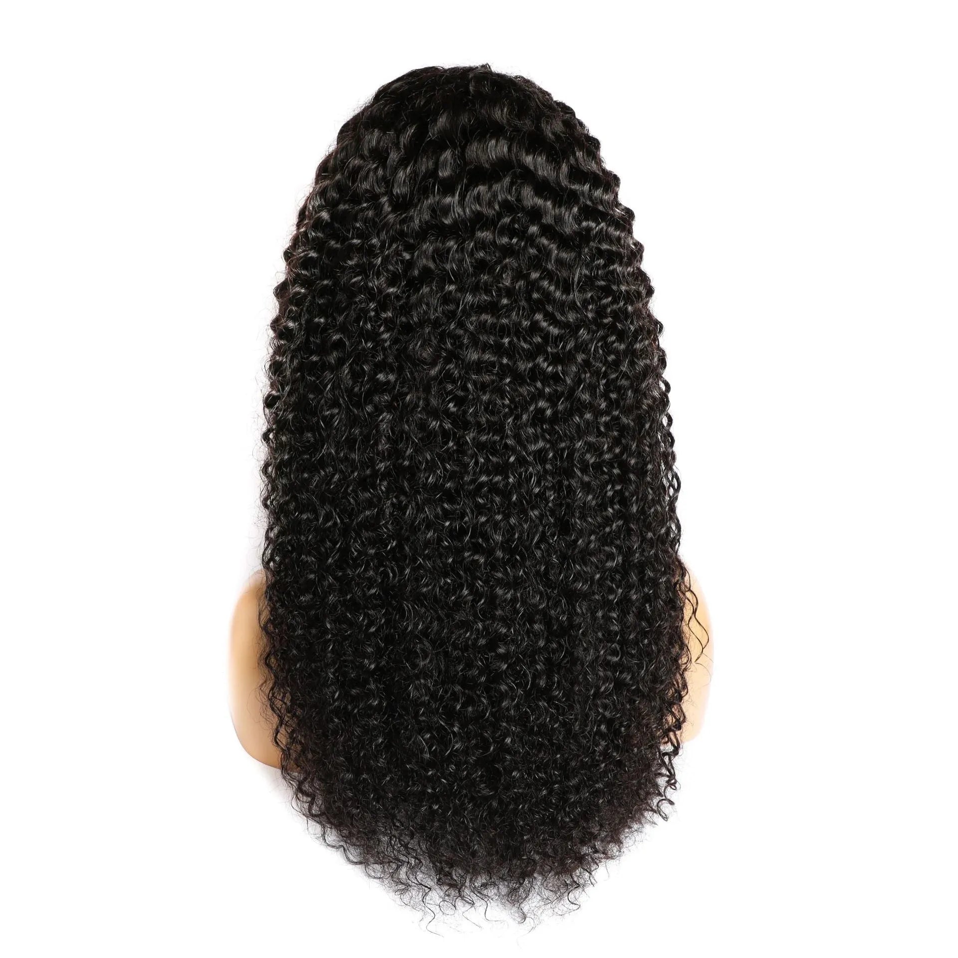 Curly human hair lace front wig shown in a natural shade, demonstrating its length and volume.