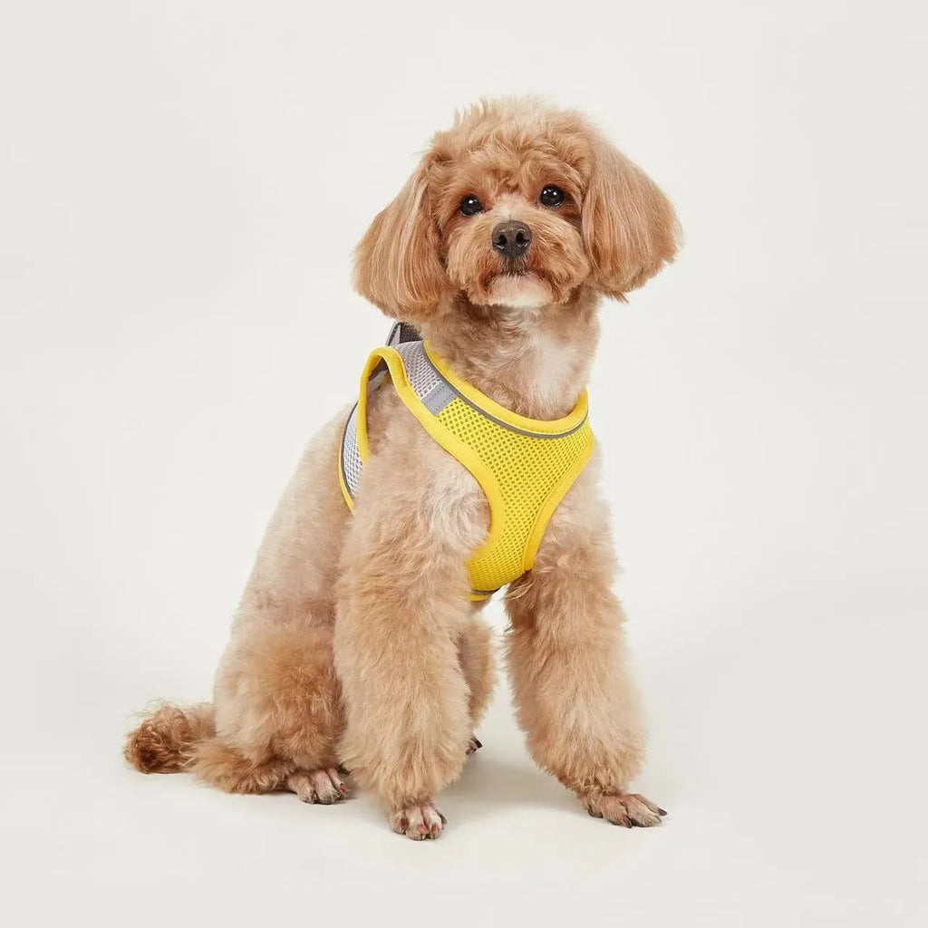 Small dog polyester rope leash with breathable vest chest strap in colours Style1 to Style13, sizes XS to L