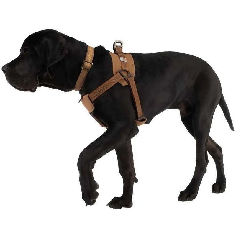 Dog training chest strap and reflective hand holding rope set with 1.8m lead length