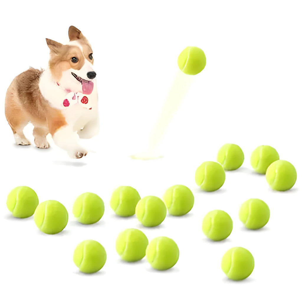 Rubber dog tennis ball toy in five colours: blue, green, pink, orange, and red