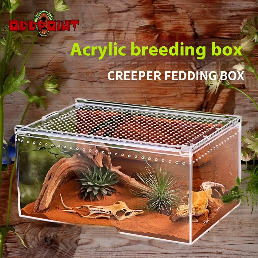 Clear acrylic reptile feeding box showing transparent sides and ventilation, next to a size chart.