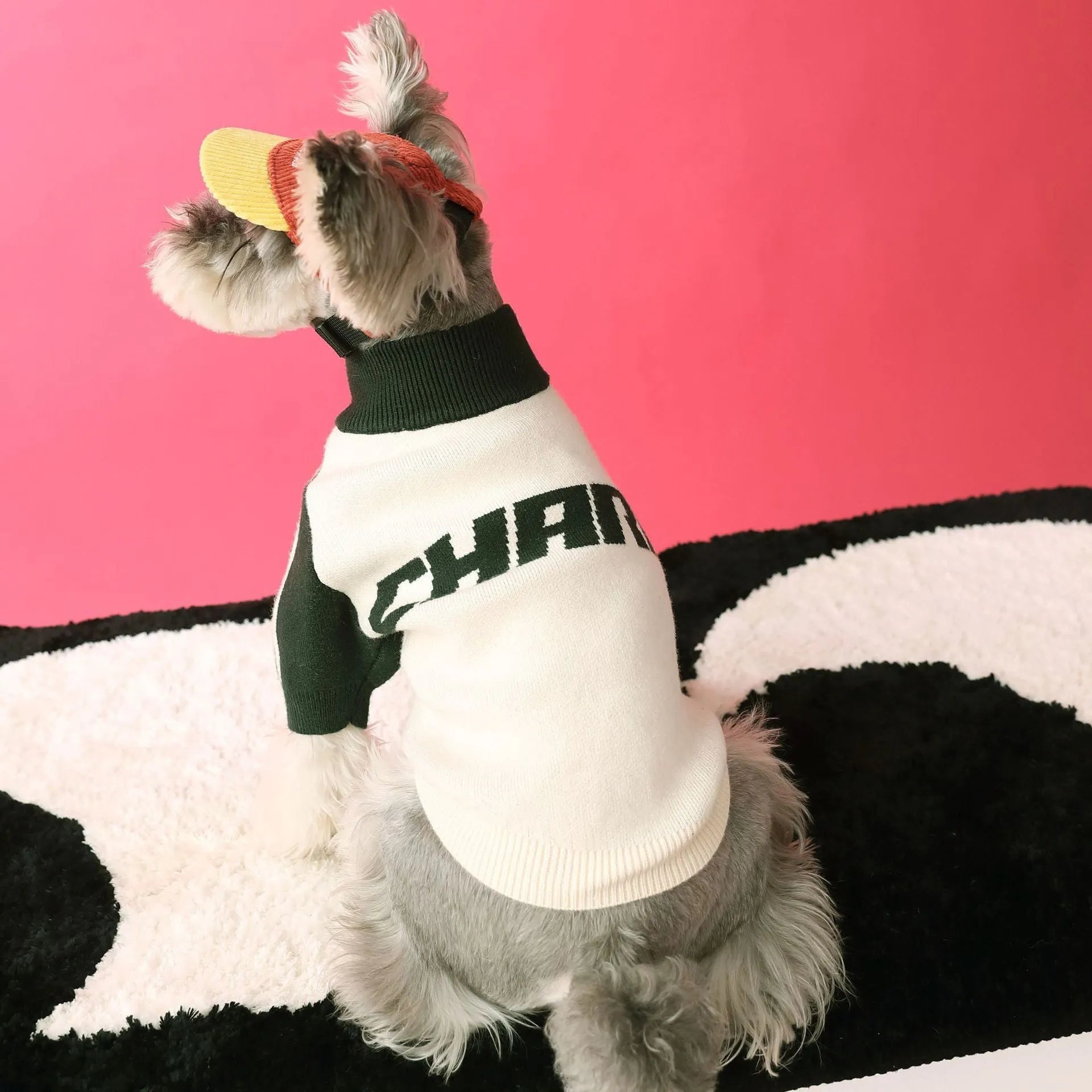 Puppy dog sports sweater cardigan in wool for men's pet clothing size S to XXL red or dark green