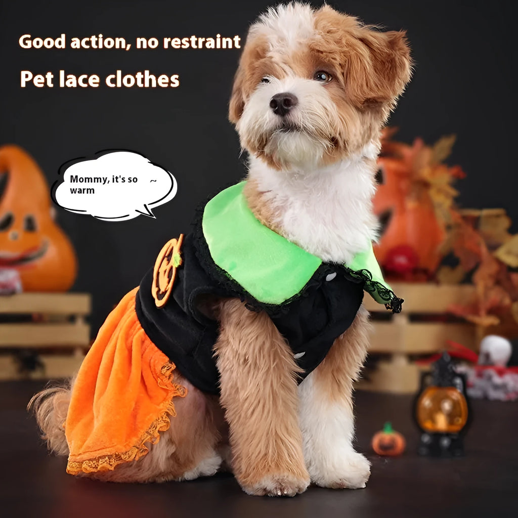 Orange crystal velvet Halloween pumpkin skirt costume on a small white dog.