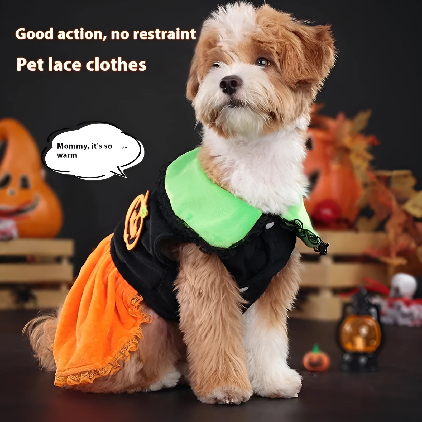 Orange crystal velvet Halloween pumpkin skirt costume on a small white dog.