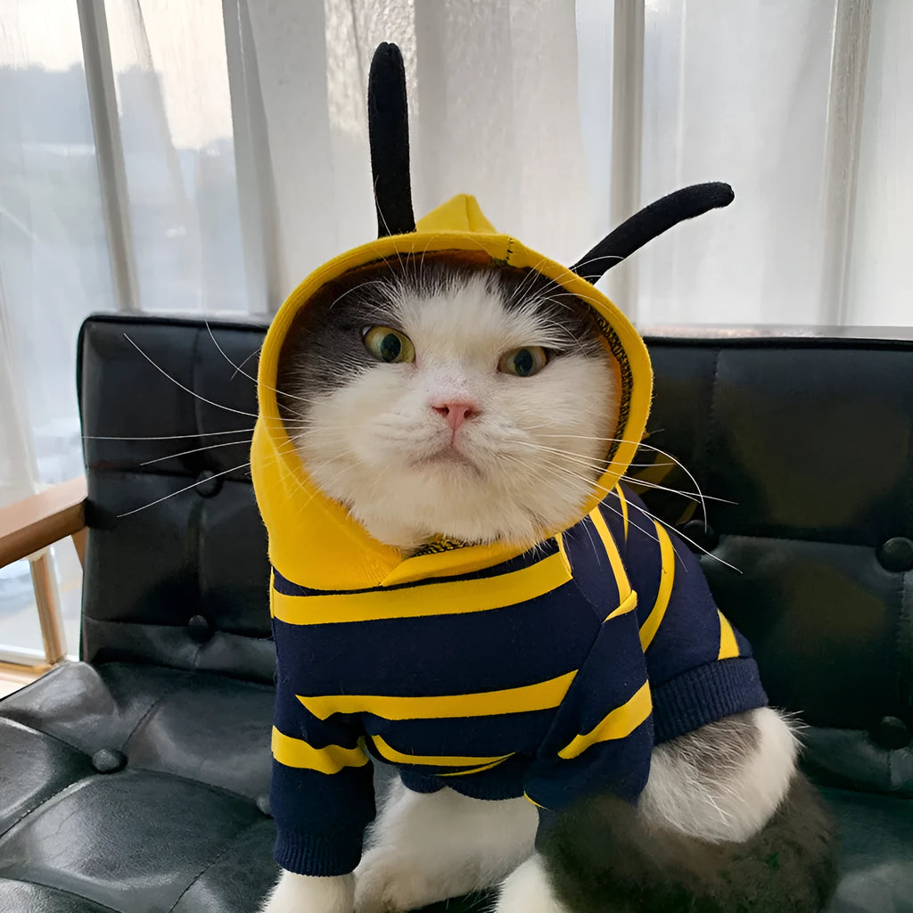 Bee pet hoodie plush winter coat in yellow striped bee transfiguration, sizes XS to XXXL