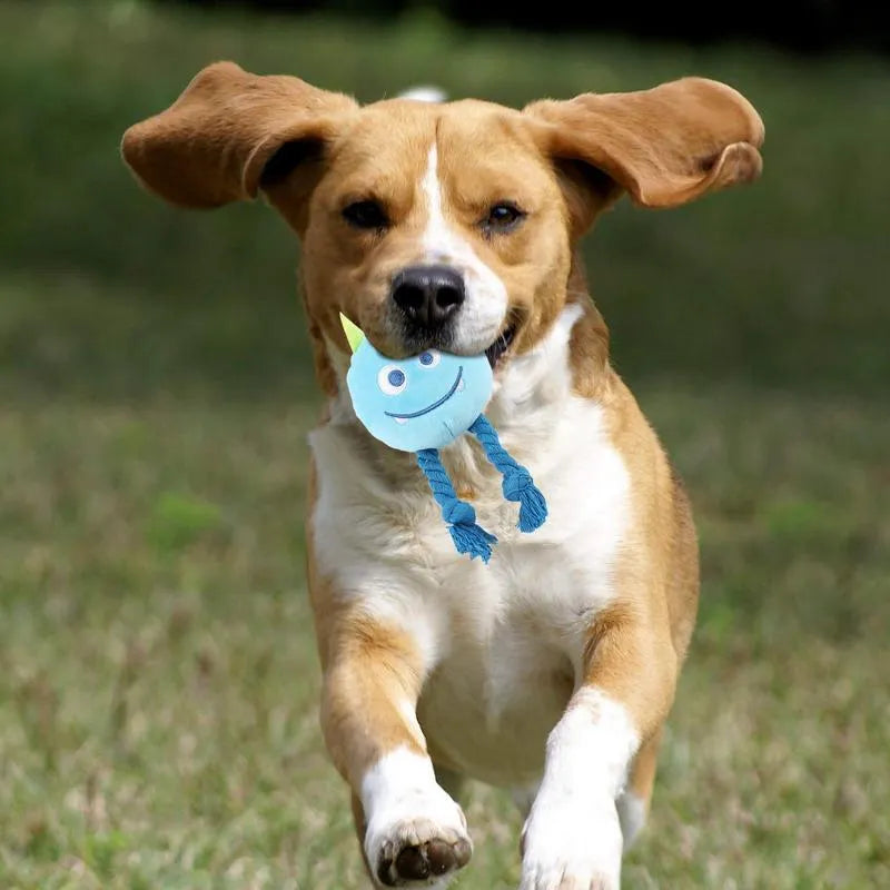 Blue and yellow dog squeaky toy with strong knot design cotton rope construction