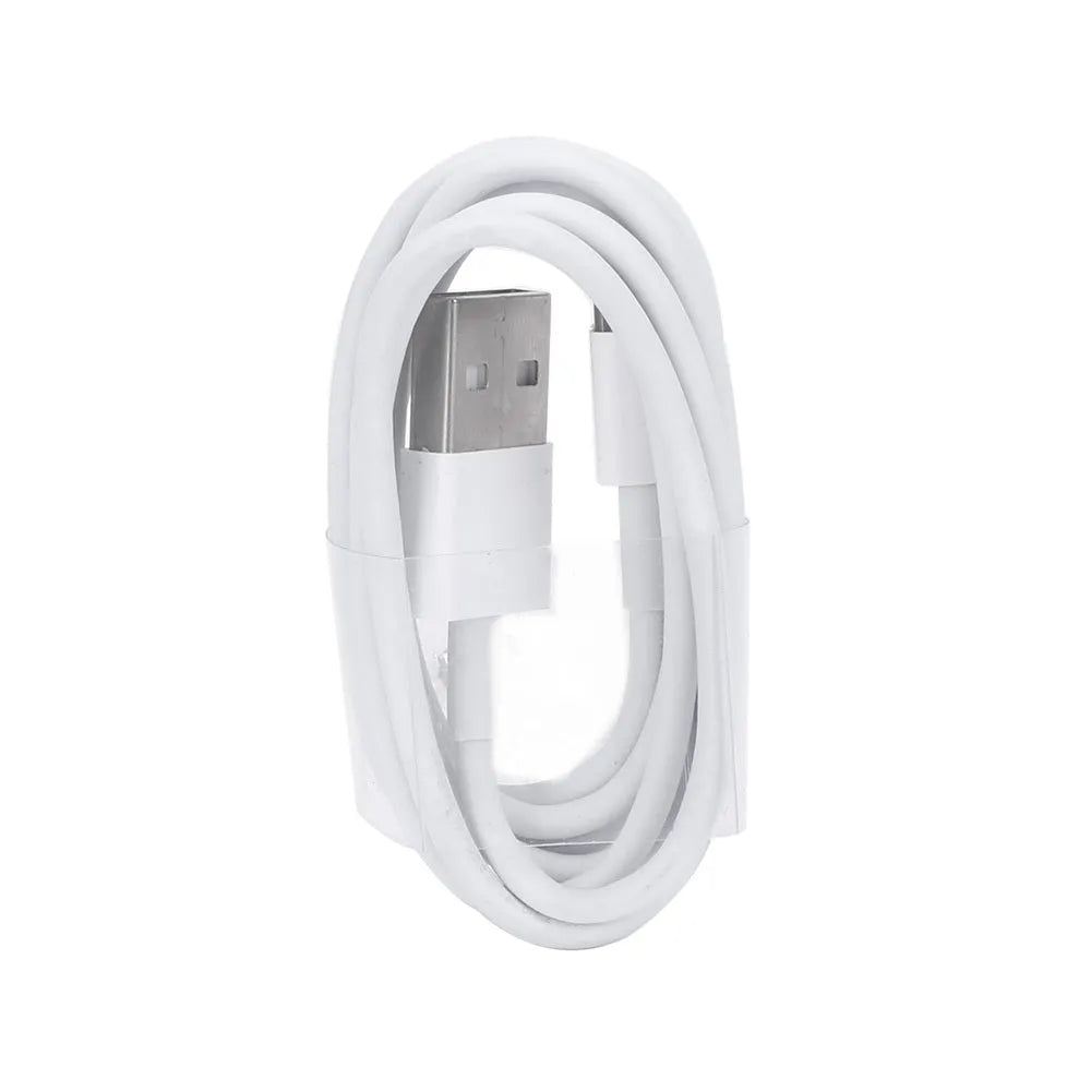 USB travel charger and cable kit for iPhone and iPad models with 5V 2A fast charging capability