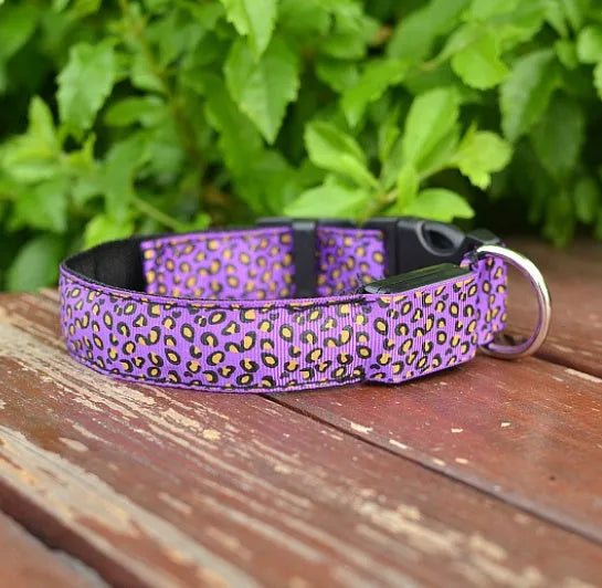 LED dog collar with leopard print nylon strap and four light modes, adjustable for small to large dogs