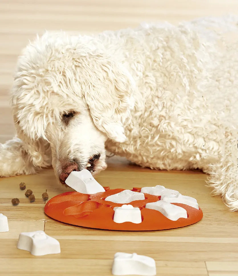 Orange and white plastic leak food puzzle toy for dogs and cats with kibble falling from opening