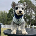 Blue and grey white slim-fit pet jumper with reflective lettering for a dog or cat