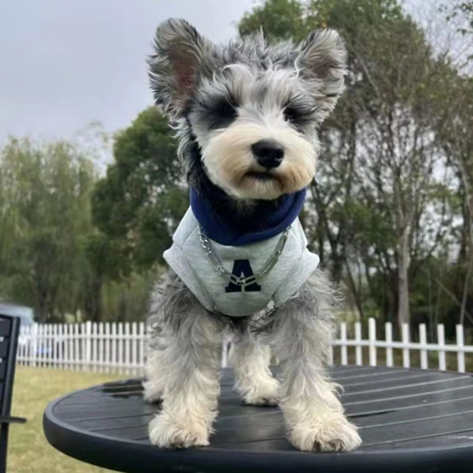 Blue and grey white slim-fit pet jumper with reflective lettering for a dog or cat