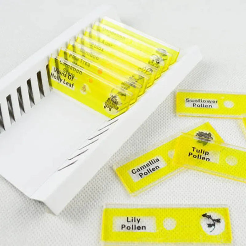 48 plastic microscope slides in red, green, yellow, blue boxes with plant and animal specimens for children's science observation