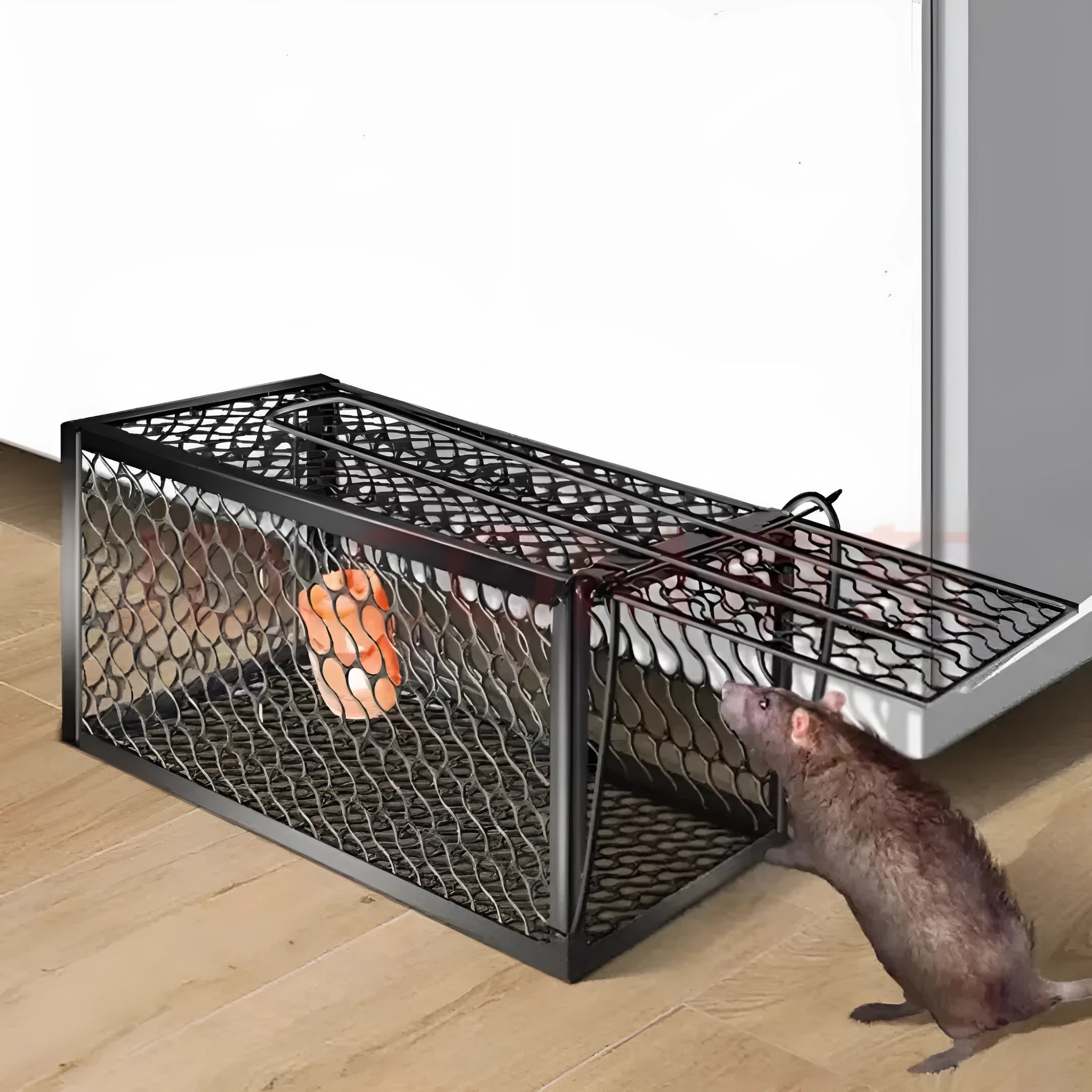 A galvanised metal humane live-catch mouse trap with a single door, shown on a wooden surface.