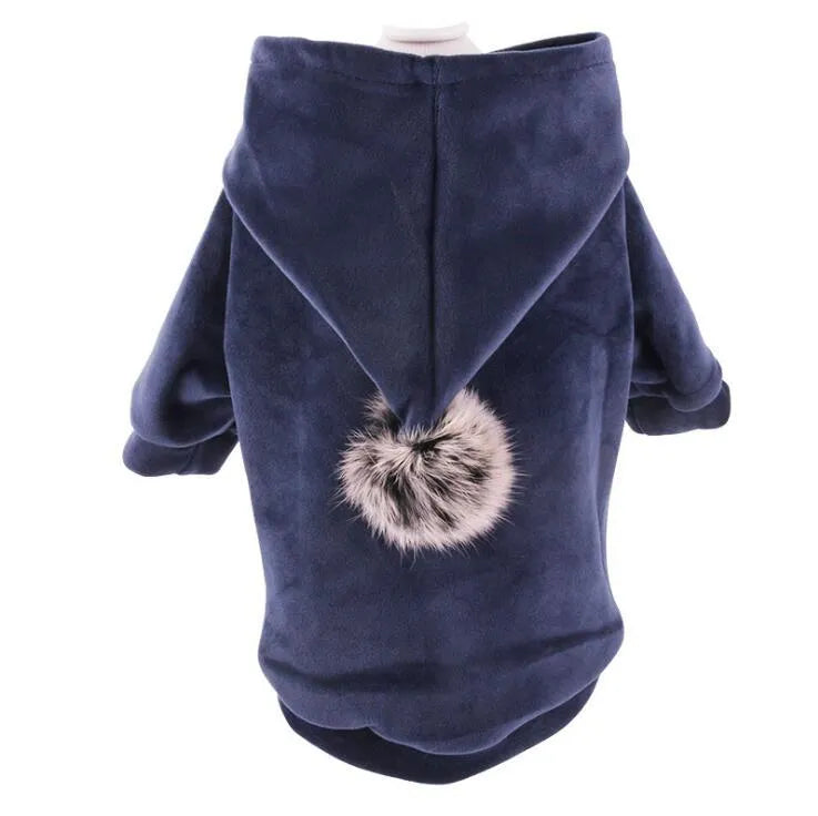 Blue hot dog dog costume on pet with grey background, available in sizes S to XXL