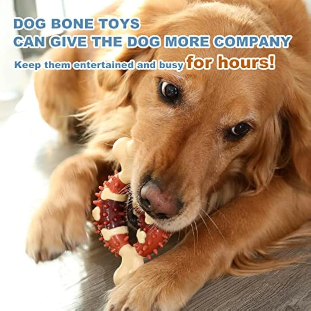 Bone-shaped natural rubber dog molar chew toy for teeth grinding, shown in large and small sizes.