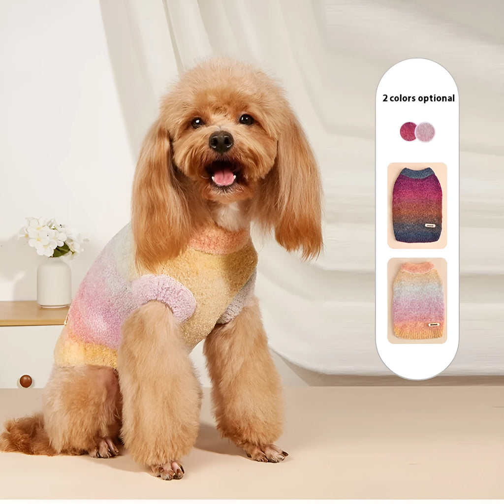 Dog wearing a colourful rainbow circle pattern sweater made from a soft wool acrylic blend.