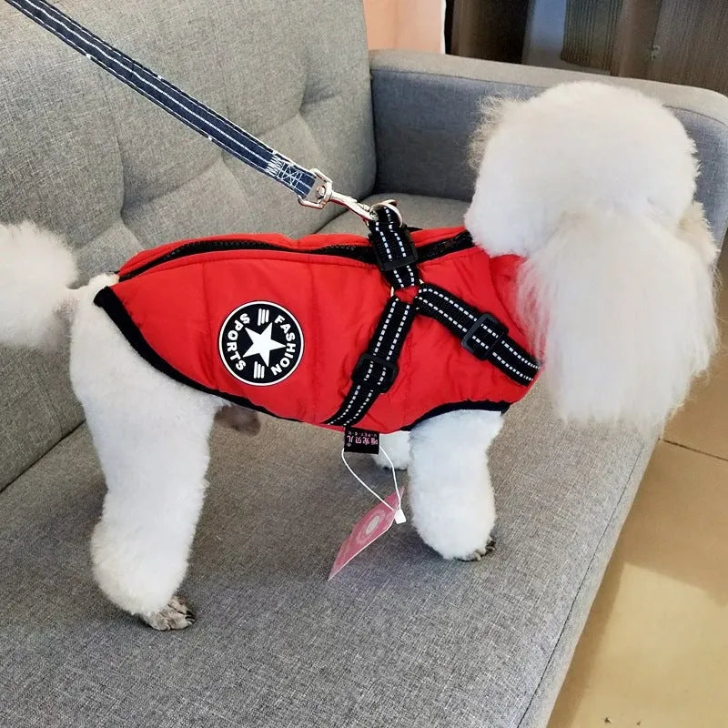 Waterproof dog coat with integrated harness in rain silk fabric for medium to large breeds