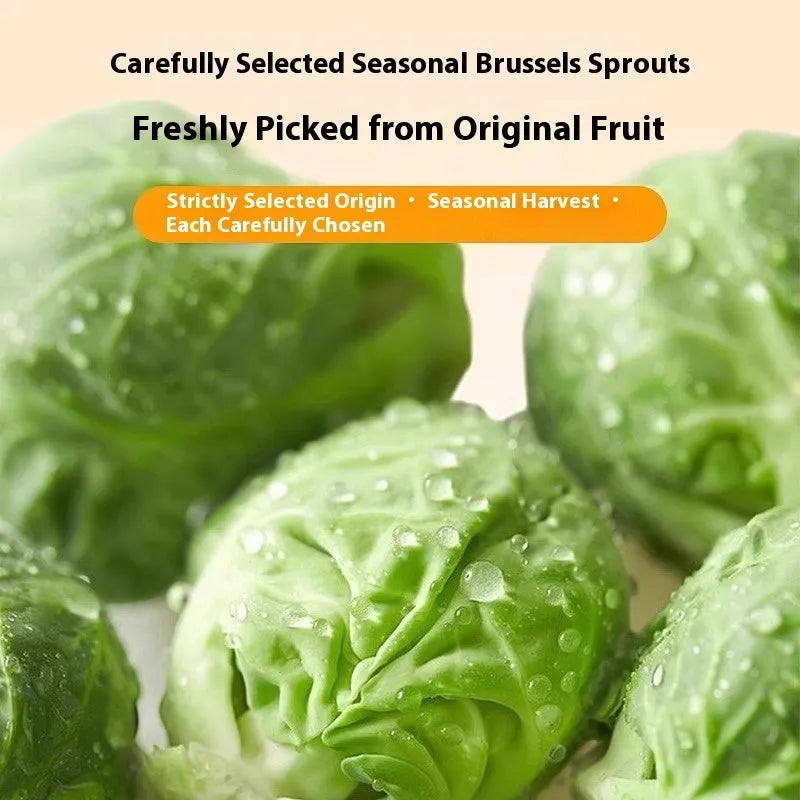 Pack of freeze-dried Brussels sprouts dog snacks, 20g, with natural vegetable appearance