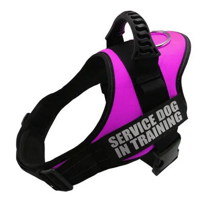 Adjustable reflective no-pull dog harness in multiple colours with chest strap design for small medium large breeds