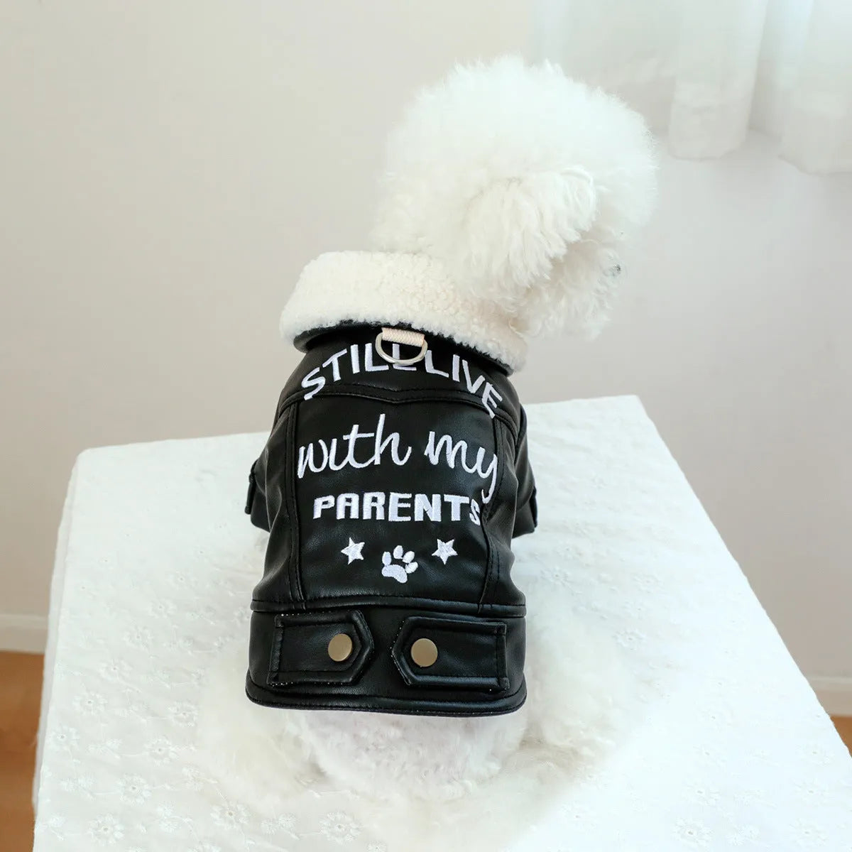 Fleece lined padded dog coat in three colours with size measurement chart