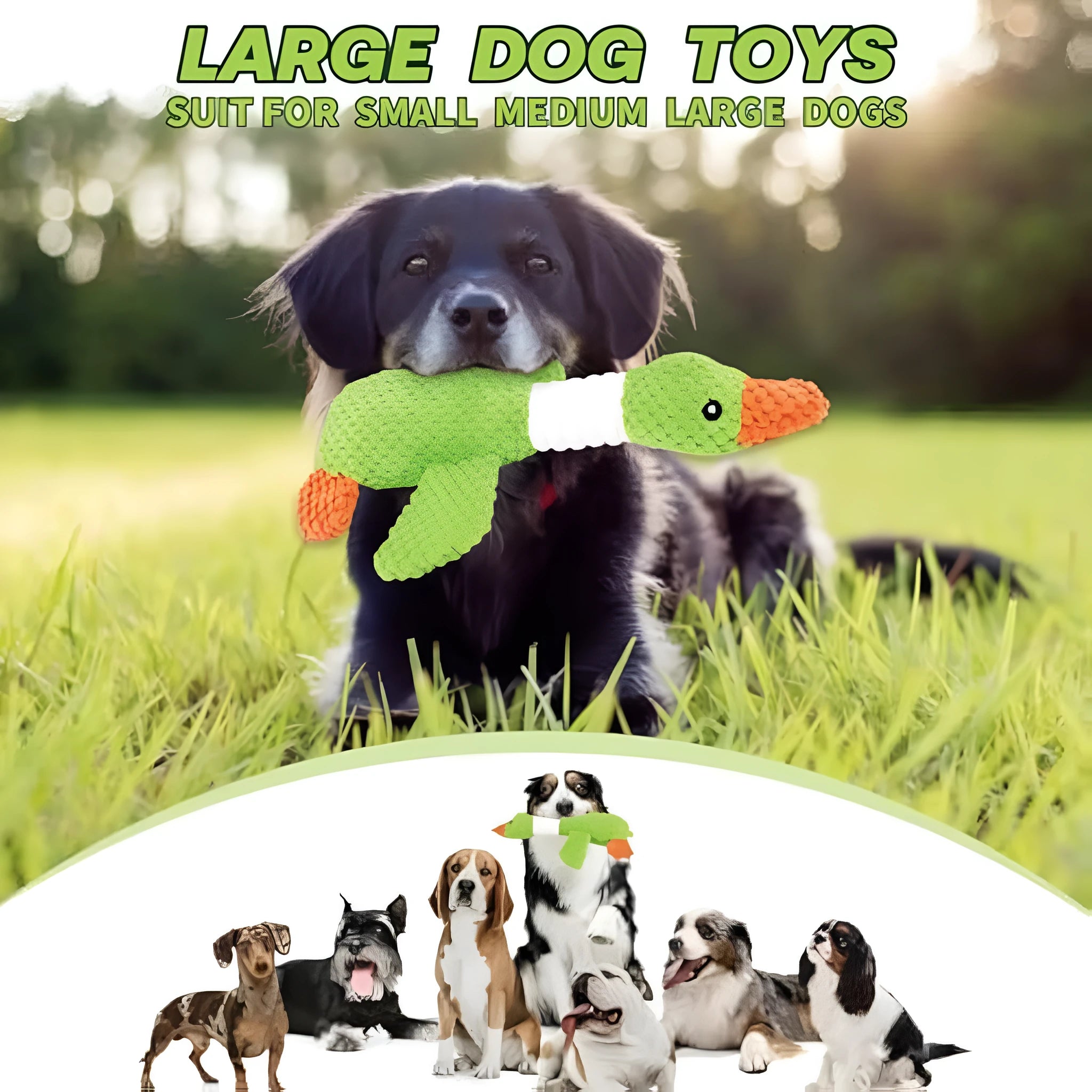 Blue duck plush dog toy with squeakers for chewing and interactive play