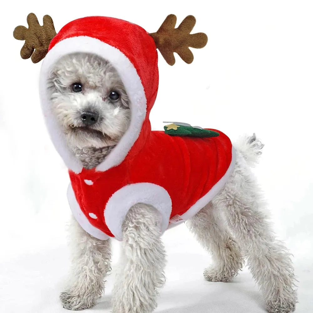 Red flannel Santa dog costume for small dogs with coat design, shown on a pet, sizes XS to XL