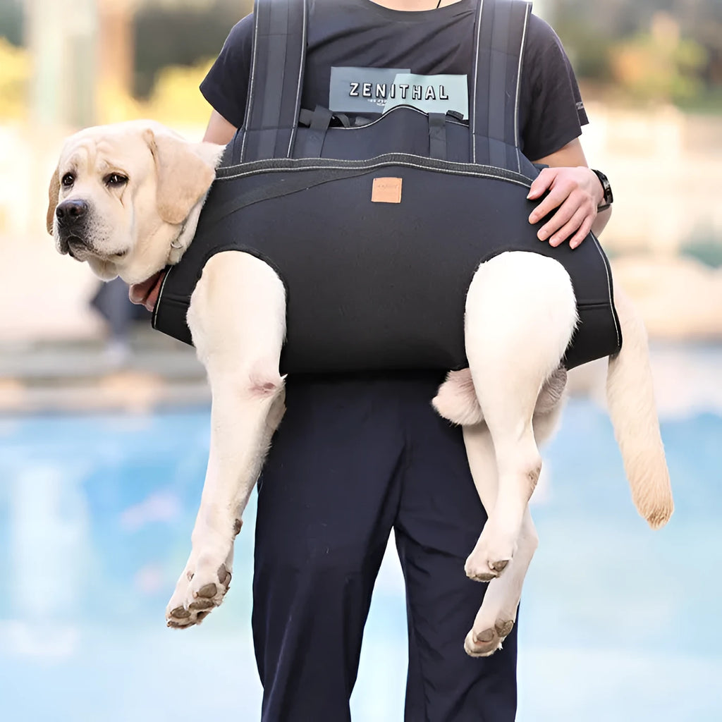 Black Oxford cloth dog backpack for medium and large breeds showing soft construction