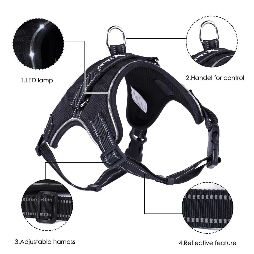 LED dog collar in 1000D Oxford with reflective strips, waterproof build, control handle, and 5 sizes