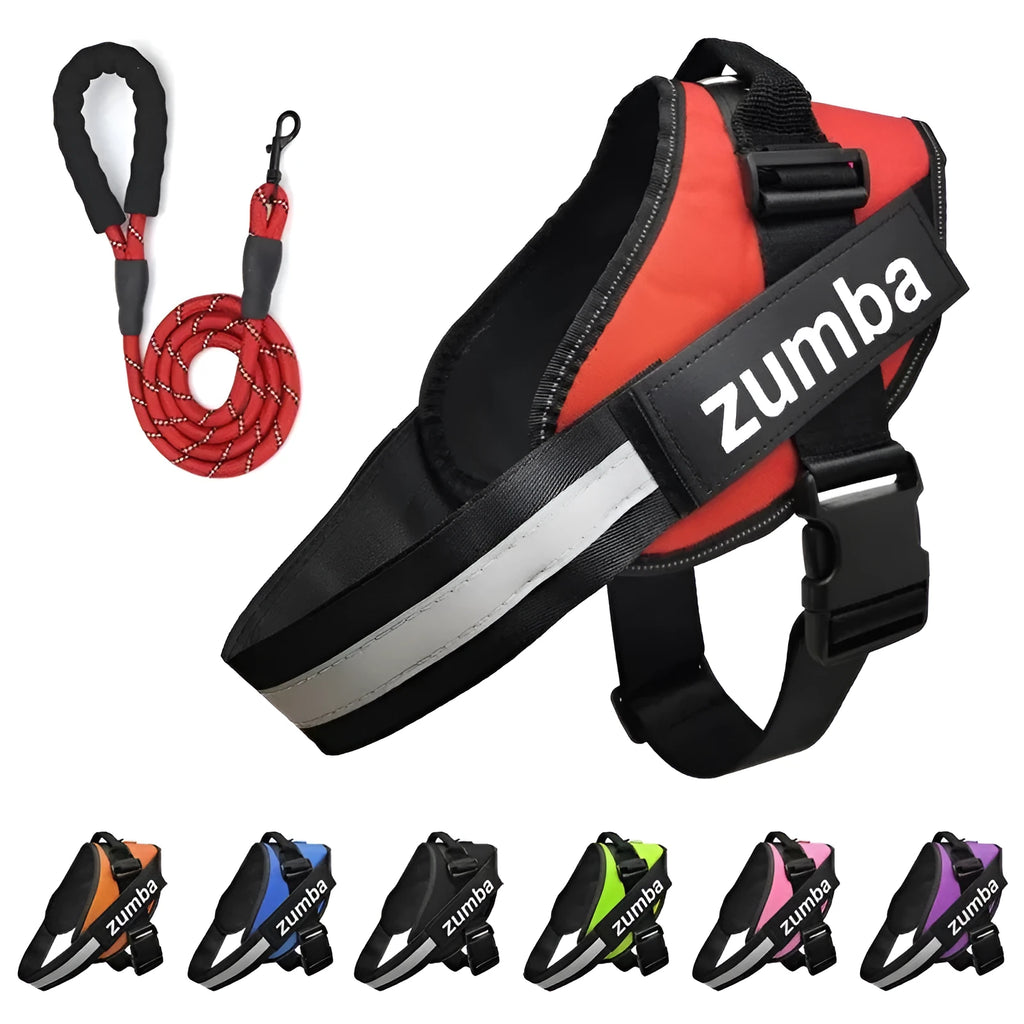Reflective breathable adjustable dog harness and leash set in multiple colours with nylon chest strap and polyester leash