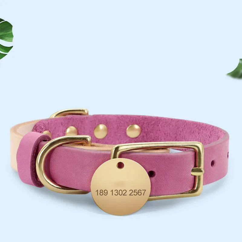 Leather cat collar in green with lettering plate on a neutral background
