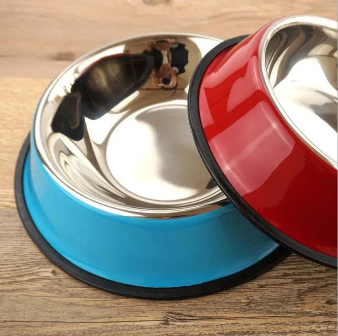 Stainless steel pet bowl with colourful melamine base in six colour options