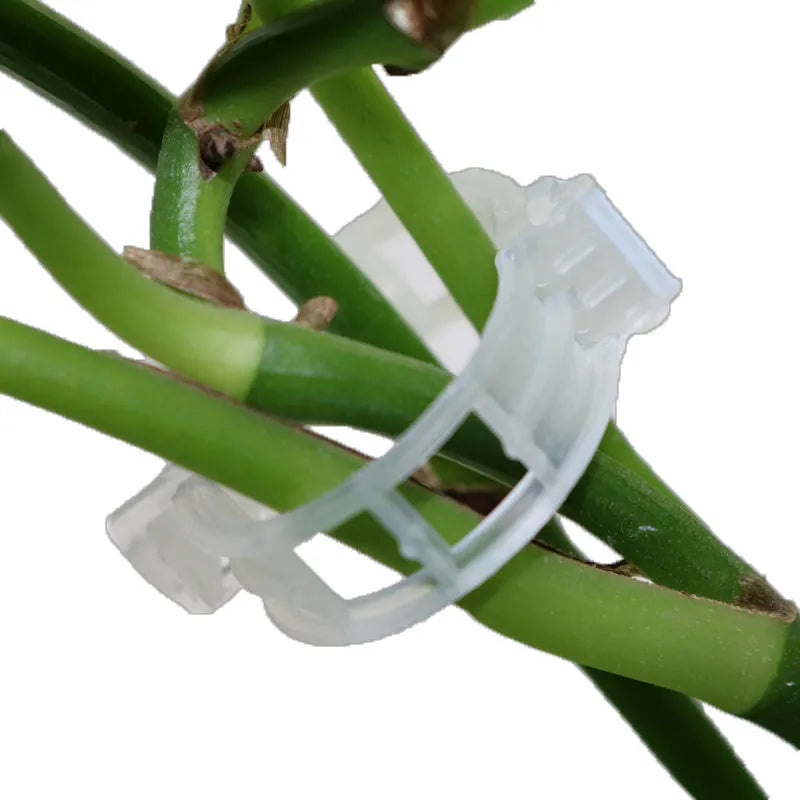 Plastic plant grafting clips for tomato and flower stem support, 50-piece pack