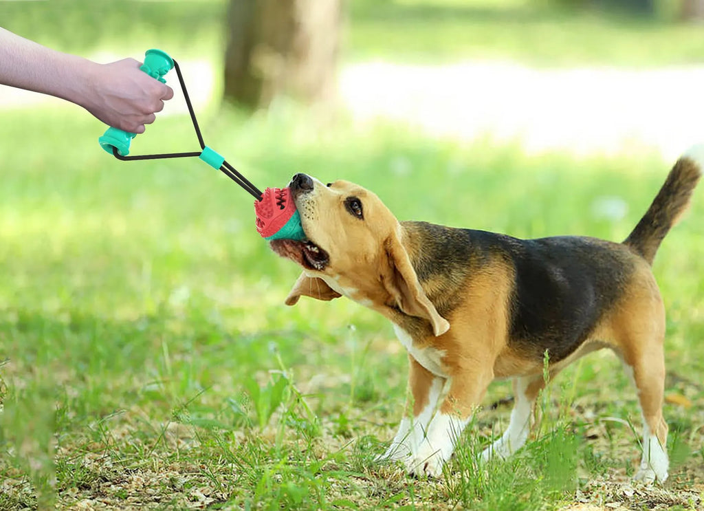 Pet toy pull rope training ball with 8.5cm diameter ball and 12cm molar stick for dogs