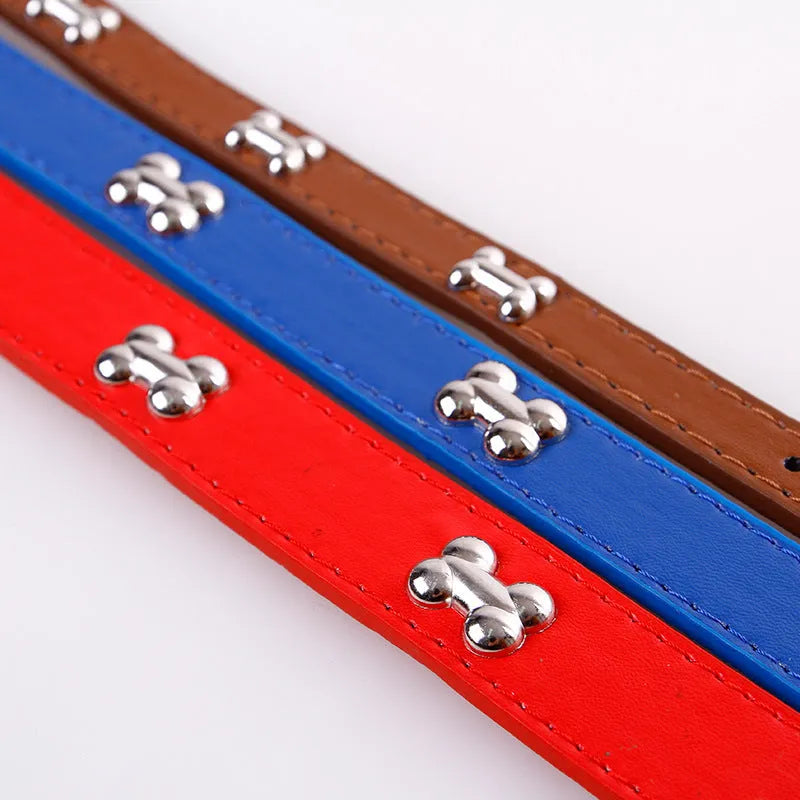 Pet leather collar with metal buckle in five colours for dogs and cats in M and S sizes