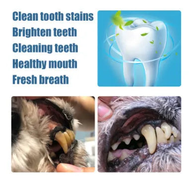Pet teeth whitening pen and dental brushes for dog and cat tartar control