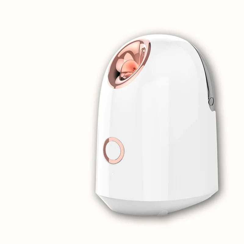 White steam facial spray hydration apparatus with 150ml water tank, USA 220V warm mist steamer
