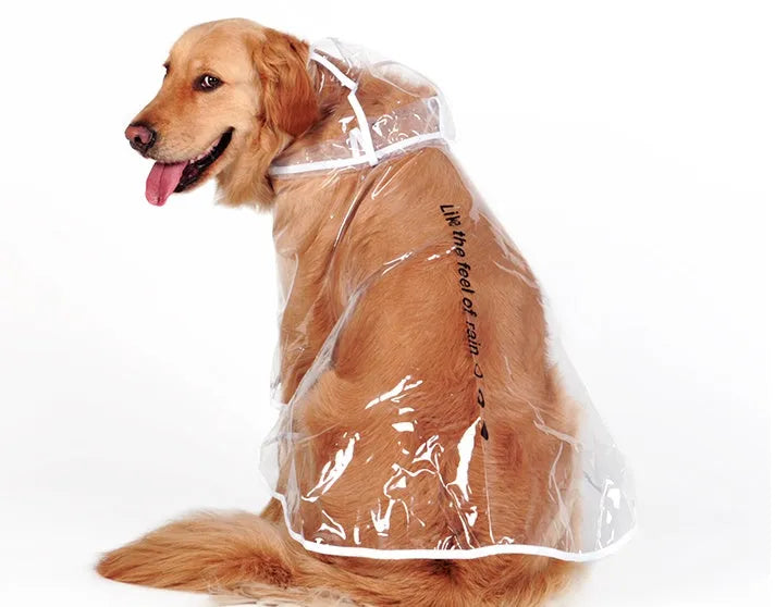 Transparent white waterproof raincoat for large dogs, size 3XL to 7XL, laid flat on a surface.