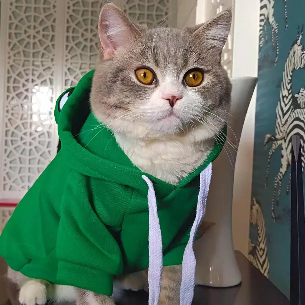 Green frog costume hoodie on a small dog, showing hood with frog face and four-legged jumper fit.