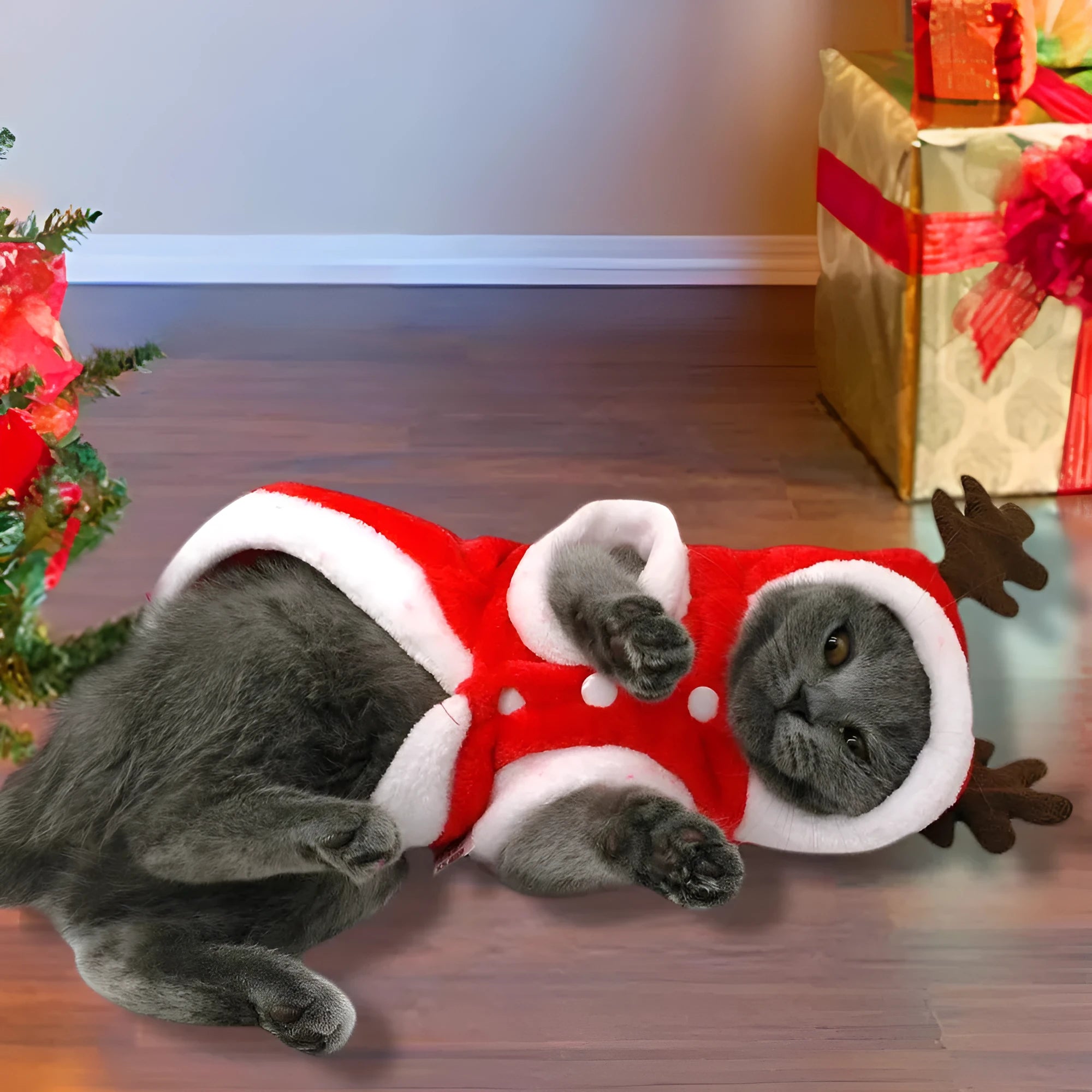 Red flannel Santa dog costume for small dogs with coat design, shown on a pet, sizes XS to XL