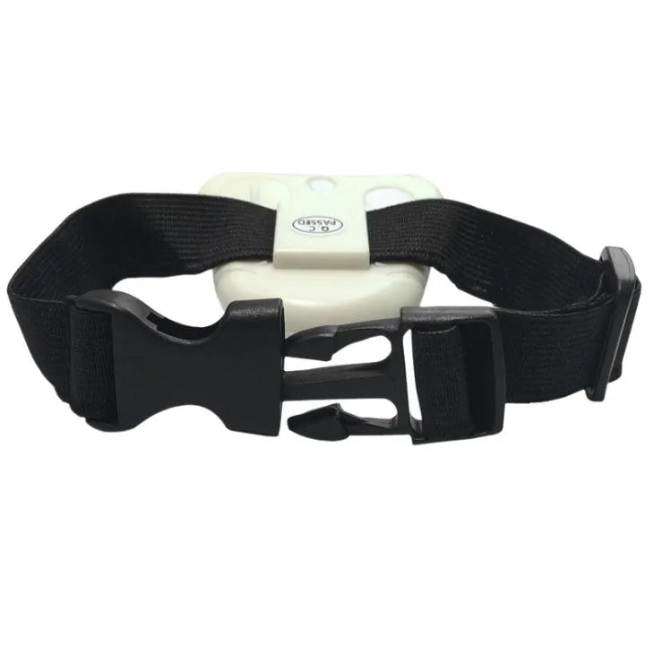 White ultrasonic automatic dog training collar with elasticated buckle strap for small to medium dogs