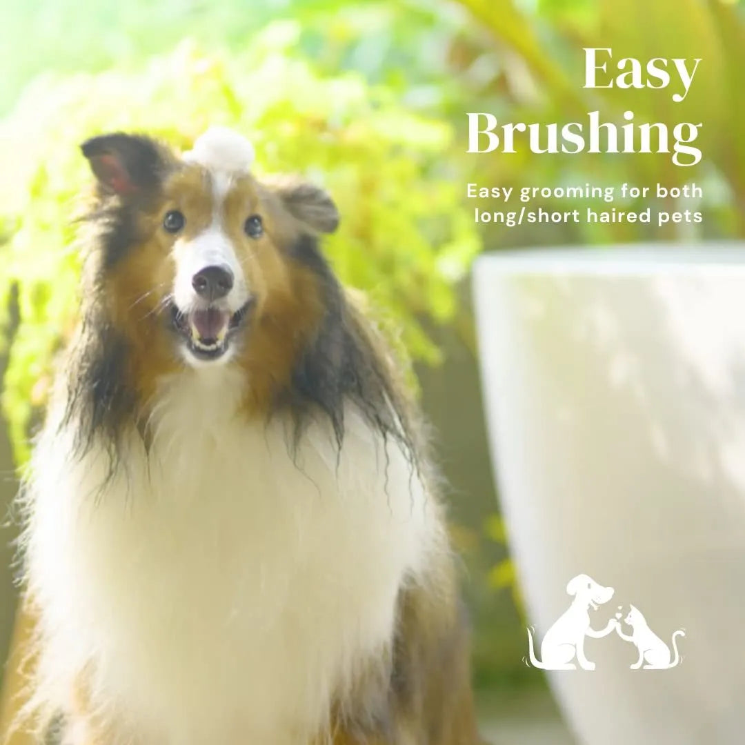 Blue grey pink self-cleaning pet grooming brush with ergonomic rubber handle.