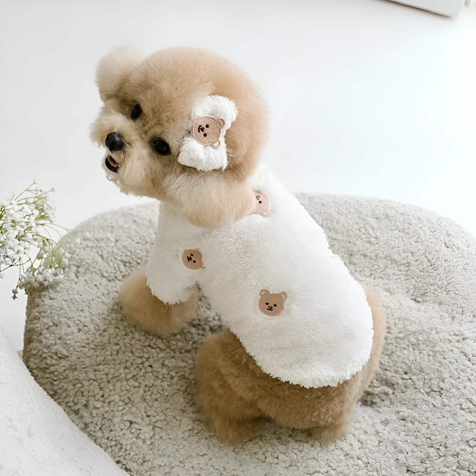 Bixin cat fluffy jacket with embroidery in khaki, showing side view with back length measurement guide