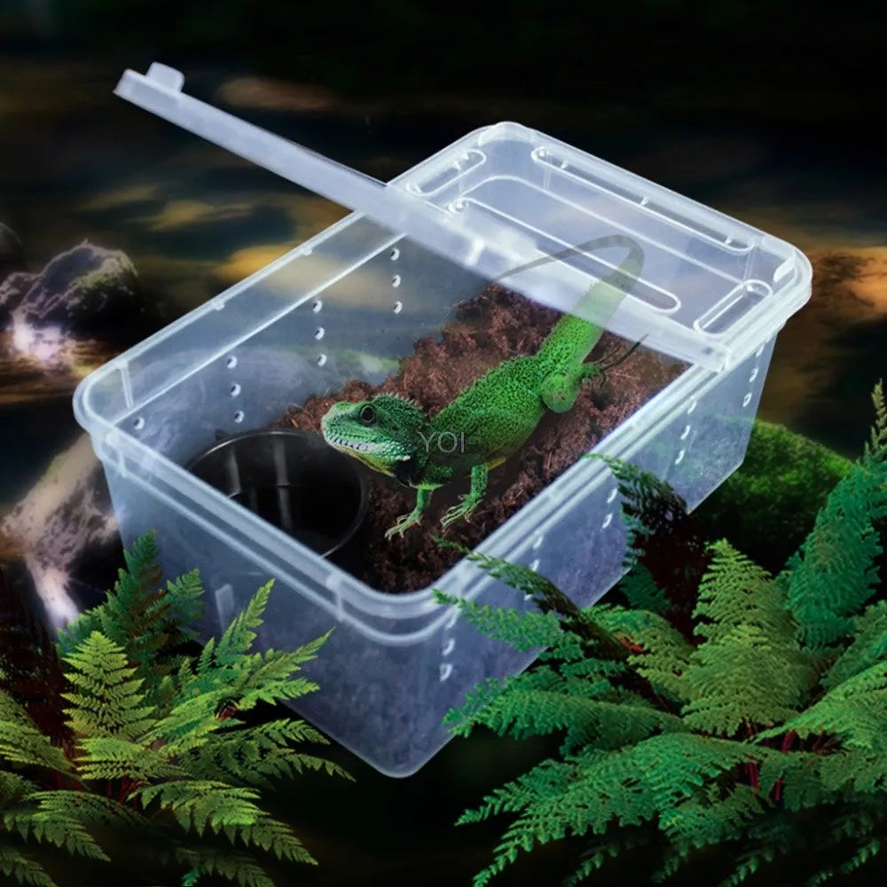 Plastic transparent reptile feeding box 19x12.5x7.5cm for reptile and amphibian transport and breeding