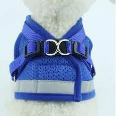 Dog harness and leash set in reflective mesh, black colour, with 1.2m lead, sizes S to XL