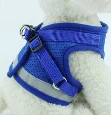 Dog harness and leash set in reflective mesh, black colour, with 1.2m lead, sizes S to XL