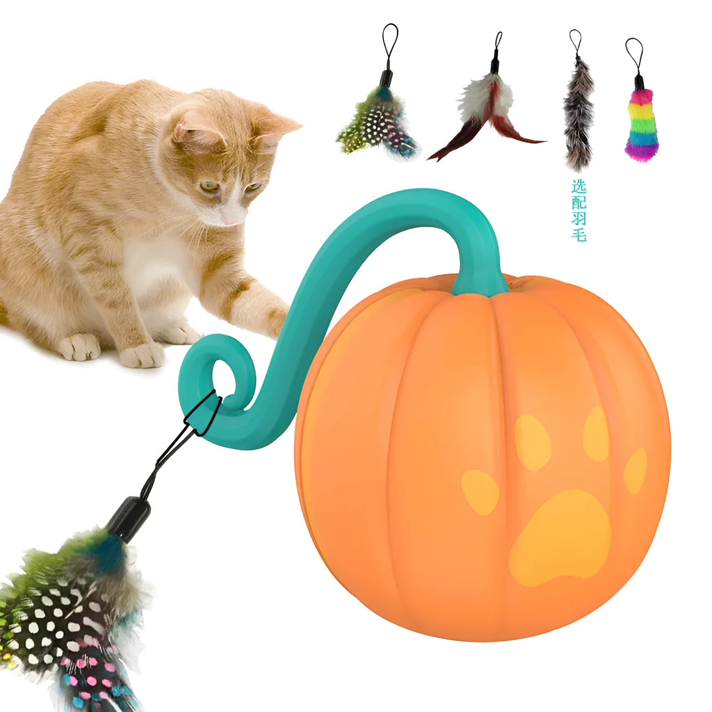 Electric cat toy ball with LED lights in watermelon green and pumpkin orange colours