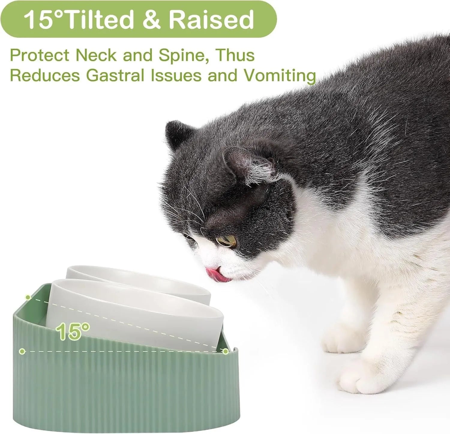 Green ceramic raised cat bowl set with two bowls on a tilted stand, showing non-slip base.